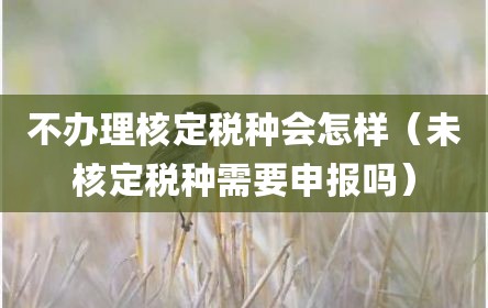 不办理核定税种会怎样（未核定税种需要申报吗）
