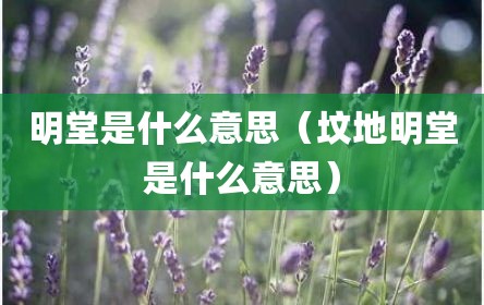 明堂是什么意思（坟地明堂是什么意思）