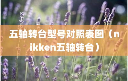 五轴转台型号对照表图（nikken五轴转台）