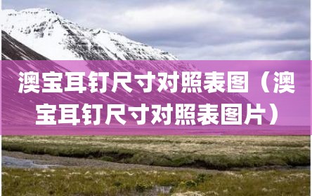 澳宝耳钉尺寸对照表图（澳宝耳钉尺寸对照表图片）