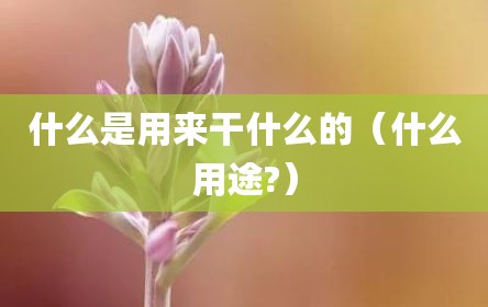 什么是用来干什么的（什么用途?）