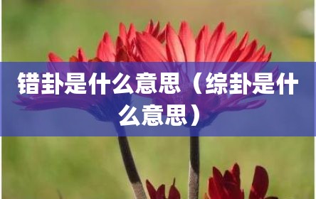 错卦是什么意思（综卦是什么意思）