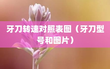 牙刀转速对照表图（牙刀型号和图片）