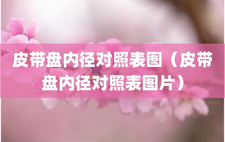 皮带盘内径对照表图（皮带盘内径对照表图片）