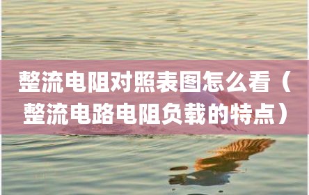 整流电阻对照表图怎么看（整流电路电阻负载的特点）
