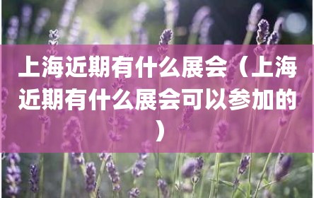 上海近期有什么展会（上海近期有什么展会可以参加的）