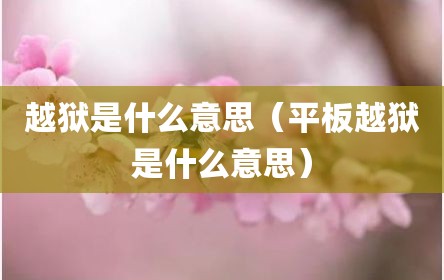 越狱是什么意思（平板越狱是什么意思）