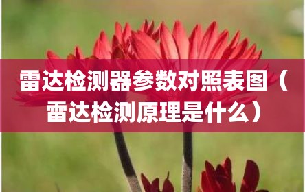 雷达检测器参数对照表图（雷达检测原理是什么）