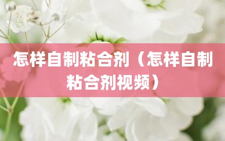 怎样自制粘合剂（怎样自制粘合剂视频）