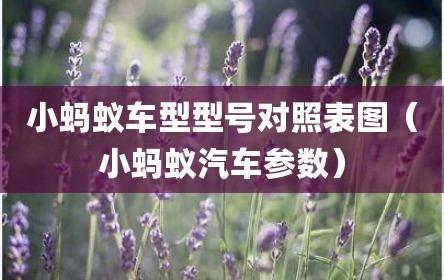 小蚂蚁车型型号对照表图（小蚂蚁汽车参数）
