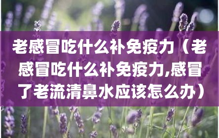 老感冒吃什么补免疫力（老感冒吃什么补免疫力,感冒了老流清鼻水应该怎么办）