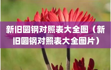 新旧圆钢对照表大全图（新旧圆钢对照表大全图片）