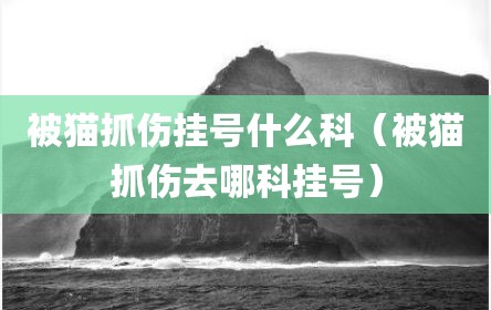 被猫抓伤挂号什么科（被猫抓伤去哪科挂号）