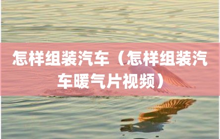 怎样组装汽车（怎样组装汽车暖气片视频）