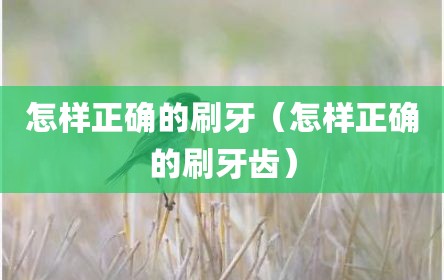 怎样正确的刷牙（怎样正确的刷牙齿）