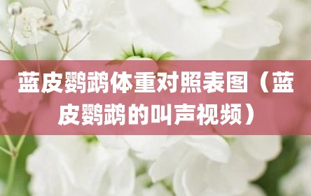 蓝皮鹦鹉体重对照表图（蓝皮鹦鹉的叫声视频）