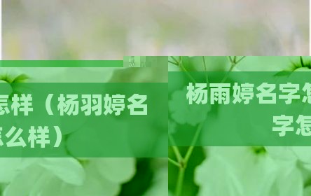 杨雨婷名字怎样（杨羽婷名字怎么样）