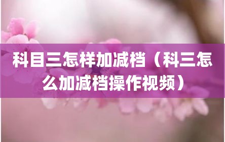 科目三怎样加减档（科三怎么加减档操作视频）