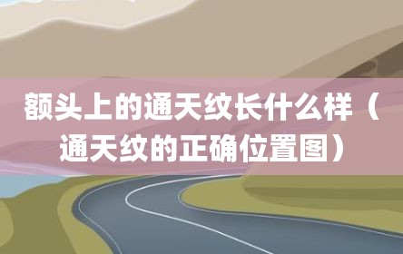 额头上的通天纹长什么样（通天纹的正确位置图）
