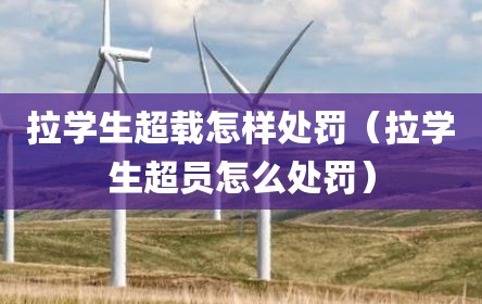 拉学生超载怎样处罚（拉学生超员怎么处罚）