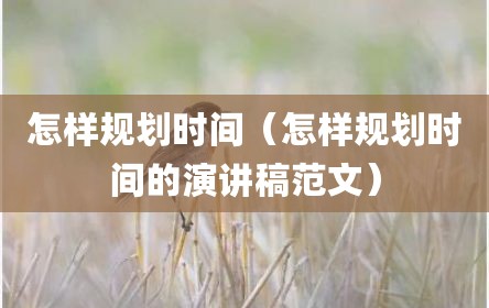 怎样规划时间（怎样规划时间的演讲稿范文）