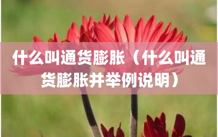什么叫通货膨胀（什么叫通货膨胀并举例说明）