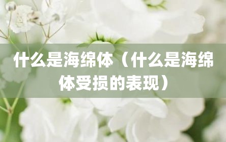 什么是海绵体（什么是海绵体受损的表现）