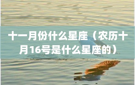 十一月份什么星座（农历十月16号是什么星座的）
