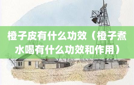 橙子皮有什么功效（橙子煮水喝有什么功效和作用）