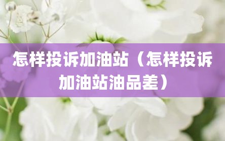 怎样投诉加油站（怎样投诉加油站油品差）