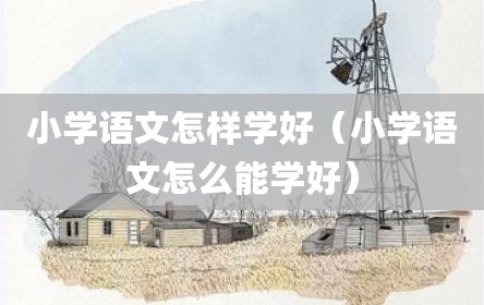 小学语文怎样学好（小学语文怎么能学好）