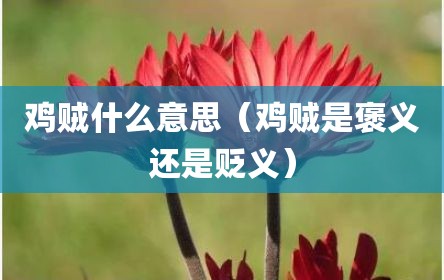 鸡贼什么意思（鸡贼是褒义还是贬义）