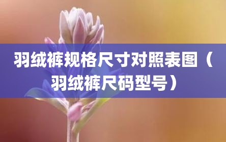 羽绒裤规格尺寸对照表图（羽绒裤尺码型号）