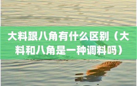大料跟八角有什么区别（大料和八角是一种调料吗）