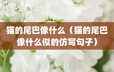 猫的尾巴像什么（猫的尾巴像什么似的仿写句子）
