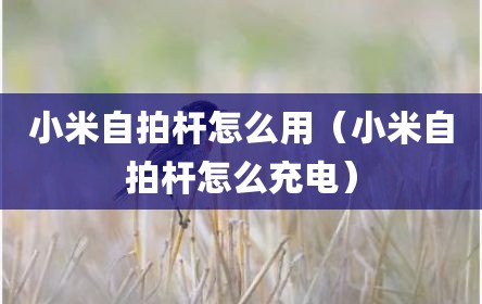 小米自拍杆怎么用（小米自拍杆怎么充电）