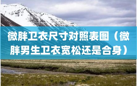 微胖卫衣尺寸对照表图（微胖男生卫衣宽松还是合身）