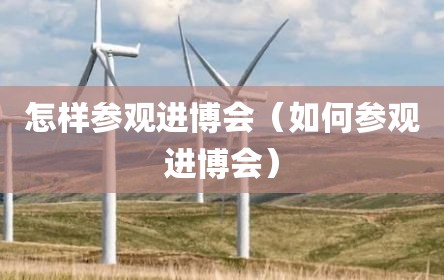 怎样参观进博会（如何参观进博会）