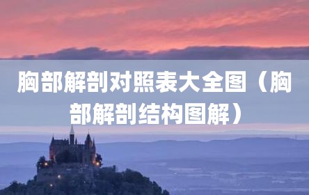 胸部解剖对照表大全图（胸部解剖结构图解）