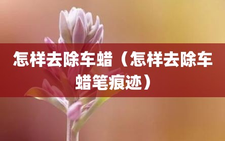 怎样去除车蜡（怎样去除车蜡笔痕迹）