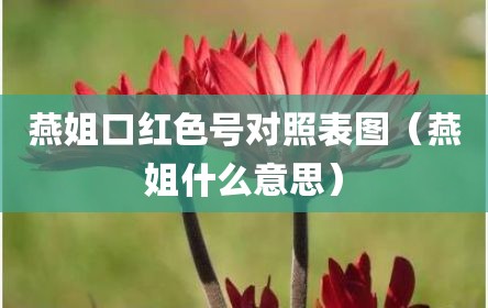燕姐口红色号对照表图（燕姐什么意思）