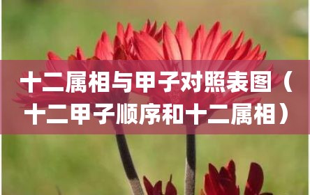 十二属相与甲子对照表图（十二甲子顺序和十二属相）