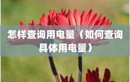 怎样查询用电量（如何查询具体用电量）