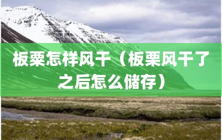 板粟怎样风干（板栗风干了之后怎么储存）