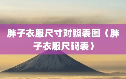 胖子衣服尺寸对照表图（胖子衣服尺码表）