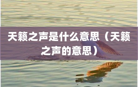 天籁之声是什么意思（天籁之声的意思）