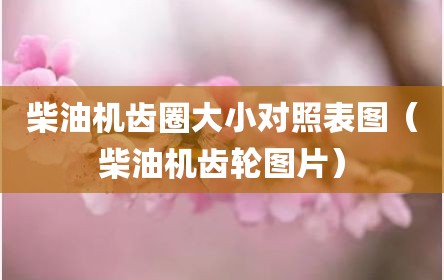 柴油机齿圈大小对照表图（柴油机齿轮图片）