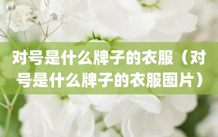 对号是什么牌子的衣服（对号是什么牌子的衣服图片）