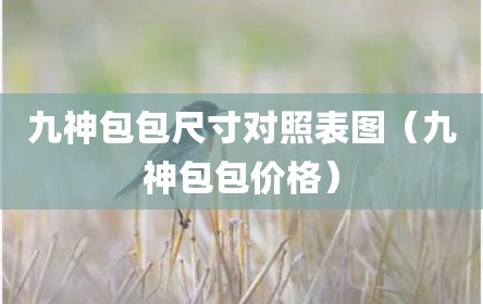 九神包包尺寸对照表图（九神包包价格）