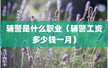 辅警是什么职业（辅警工资多少钱一月）